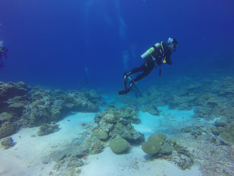 Coral Reefs Adventure